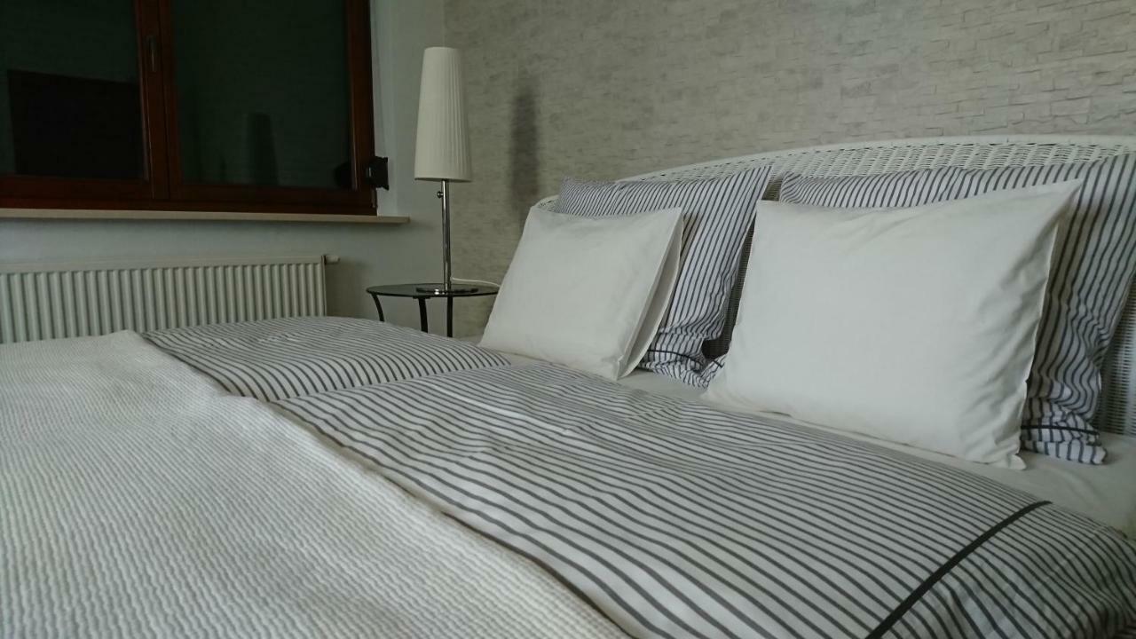 Quiet And Spacious Apartment With Garage Option 克拉科夫 外观 照片