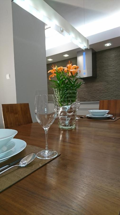 Quiet And Spacious Apartment With Garage Option 克拉科夫 外观 照片