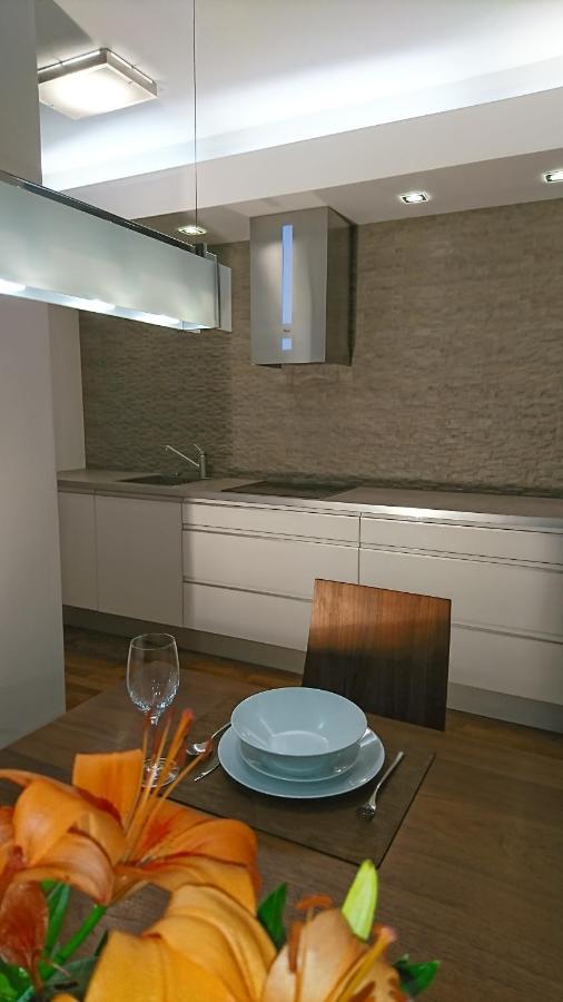 Quiet And Spacious Apartment With Garage Option 克拉科夫 外观 照片