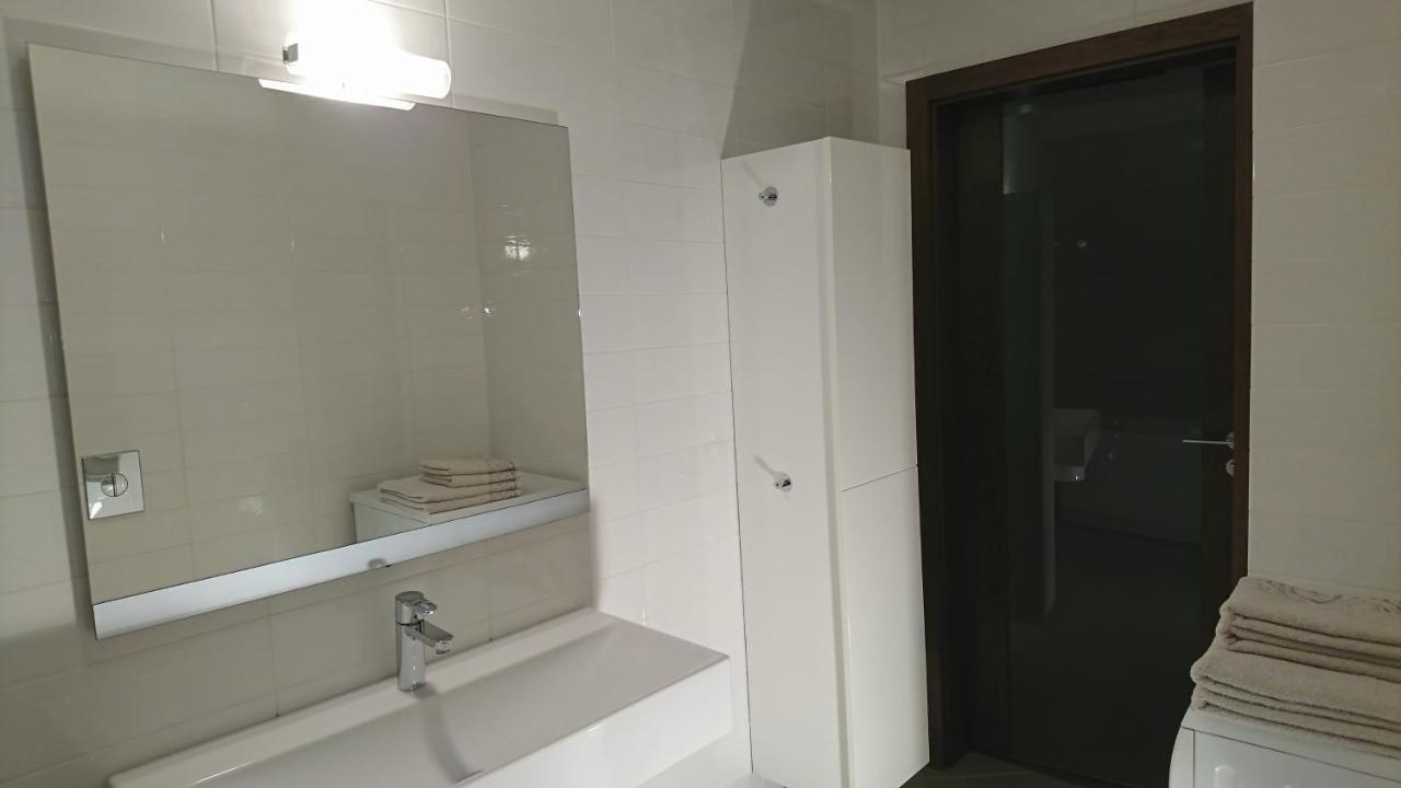 Quiet And Spacious Apartment With Garage Option 克拉科夫 外观 照片