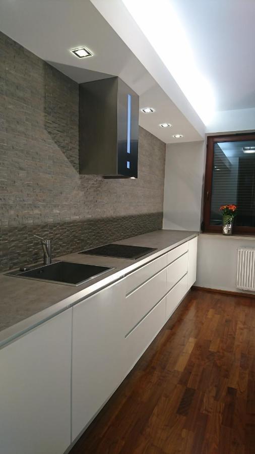 Quiet And Spacious Apartment With Garage Option 克拉科夫 外观 照片