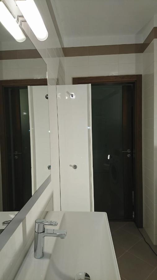 Quiet And Spacious Apartment With Garage Option 克拉科夫 外观 照片