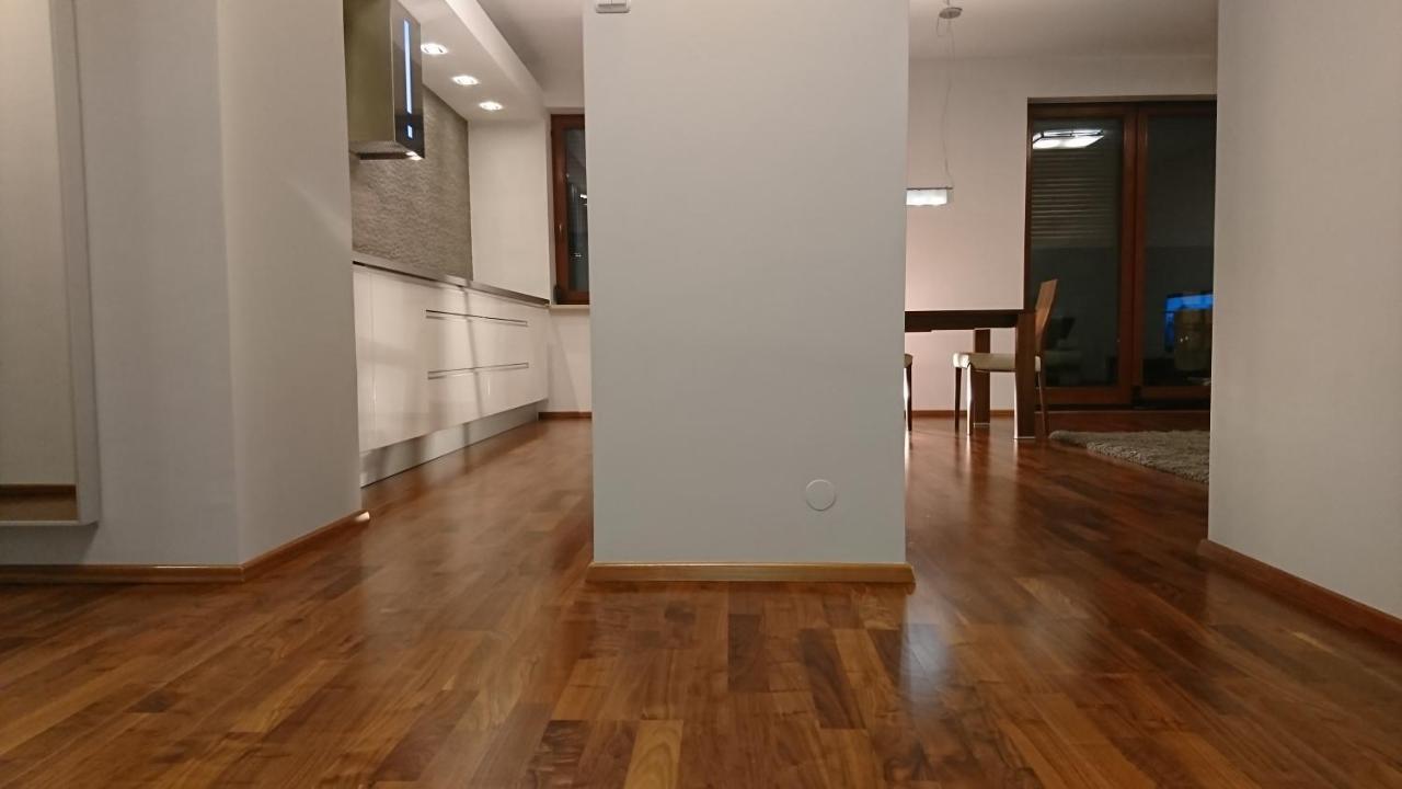 Quiet And Spacious Apartment With Garage Option 克拉科夫 外观 照片